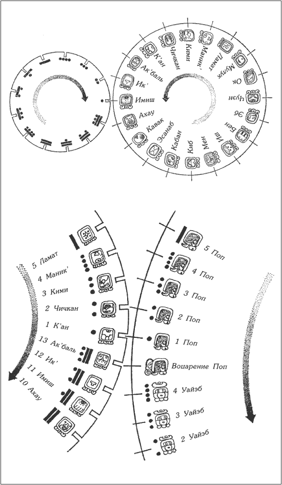 Календари майя. Верхние два круга иллюстрируют календарь «Тцолкин»: 20 месяцев правого круга взаимосвязаны с 13 днями каждого месяца, представленными в левом круге, и таким образом продолжительность года «Тцолкин» равна 260 дням. Две нижние диаграммы показывают, как календарь «Тцолкин» (слева) взаимосвязан с календарем «Хааб» (справа). В календаре «Хааб» 18 месяцев, в каждом из которых 20 дней, и еще пять или пять с половиной дней, известных как «уайэб», что в целом составляет 365 дней. Эти два календаря завершали свои взаимосвязанные циклы каждые 52 года по календарю «Хааб» (73 года по календарю «Тцолкин») и таким образом давали майя возможность проверить точность их расчетов.